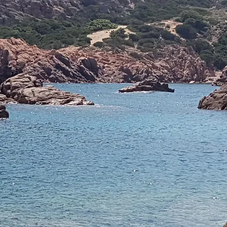Delfini E Natura *