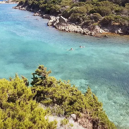 Delfini E Natura *
