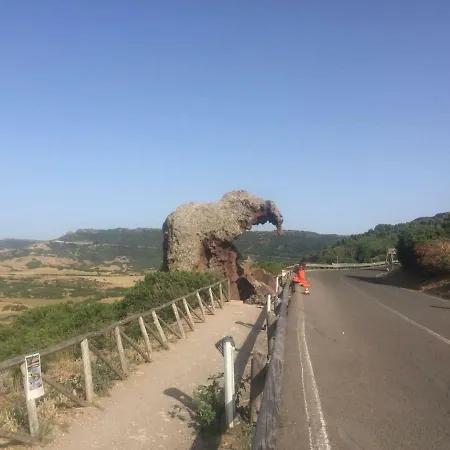 Delfini E Natura *