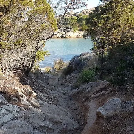Delfini E Natura