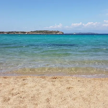 Delfini E Natura Badesi