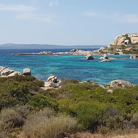 Delfini E Natura *