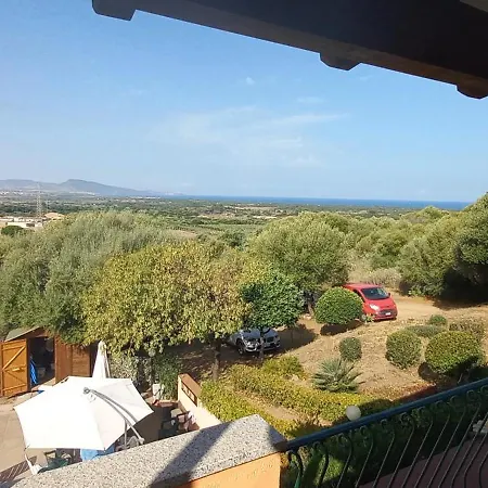Delfini E Natura