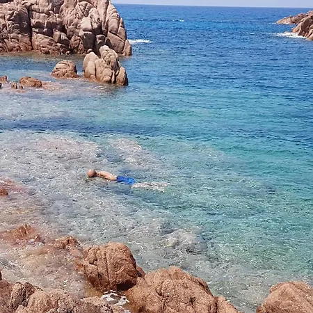 Delfini E Natura * Badesi